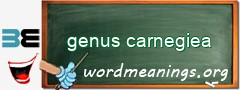 WordMeaning blackboard for genus carnegiea